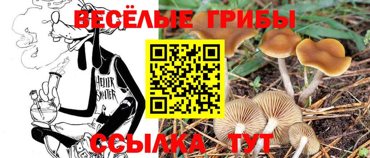 Галлюциногенные грибы прущие грибы Фрязино
